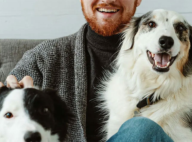 Acheter en copropriété : qu'en est-il des animaux de compagnie ?